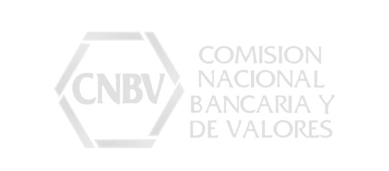 CNBV_Footer